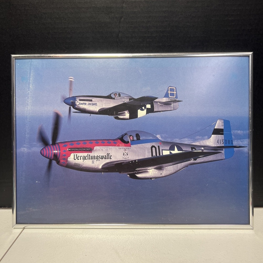 Budd Davisson 16" X 12" Framed P-51 Mustangs Photo.
